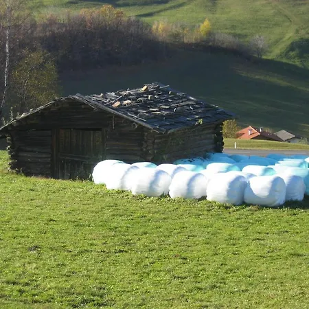 Hotel Viktoria-2